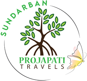 Sundarban Projapati Travels